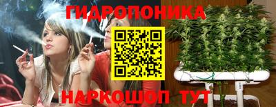 дмт Кинель